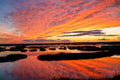 New Jersey sunset over the marsh