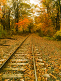 Golden train tracks