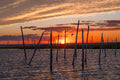 Sunset over a body of water with wooden stakes and a bird. Print by Lisa Lake Photography.